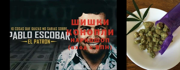 молекула духа Алексин