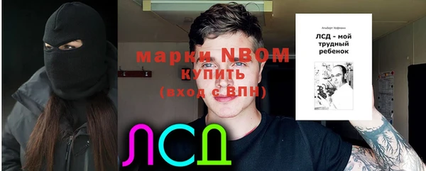 молекула духа Алексин