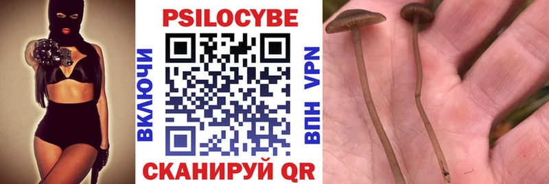 MEGA сайт  Рубцовск  Галлюциногенные грибы GOLDEN TEACHER 